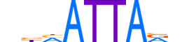 GSX1.H13CORE.0.SM.B reverse-complement motif logo (GSX1 gene, GSX1_HUMAN protein)