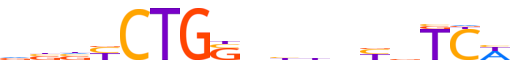 HAND1.H13CORE.0.P.B motif logo (HAND1 gene, HAND1_HUMAN protein)