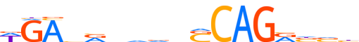 HAND1.H13CORE.0.P.B reverse-complement motif logo (HAND1 gene, HAND1_HUMAN protein)