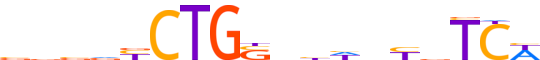 HAND2.H13CORE.0.P.B motif logo (HAND2 gene, HAND2_HUMAN protein)