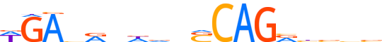 HAND2.H13CORE.0.P.B reverse-complement motif logo (HAND2 gene, HAND2_HUMAN protein)