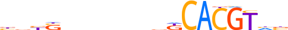 HIF1A.H13CORE.1.P.B reverse-complement motif logo (HIF1A gene, HIF1A_HUMAN protein)