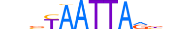 HME1.H13CORE.0.PSM.A motif logo (EN1 gene, HME1_HUMAN protein)