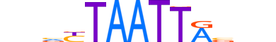 HME1.H13CORE.0.PSM.A reverse-complement motif logo (EN1 gene, HME1_HUMAN protein)