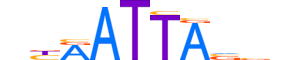 HME2.H13CORE.0.SM.B motif logo (EN2 gene, HME2_HUMAN protein)