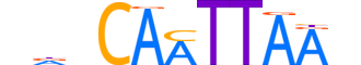 HMX1.H13CORE.0.SM.B reverse-complement motif logo (HMX1 gene, HMX1_HUMAN protein)