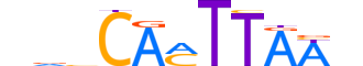 HMX2.H13CORE.0.SM.B reverse-complement motif logo (HMX2 gene, HMX2_HUMAN protein)