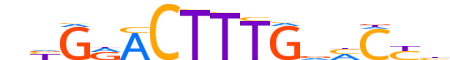 HNF4A.H13CORE.0.PSM.A reverse-complement motif logo (HNF4A gene, HNF4A_HUMAN protein)