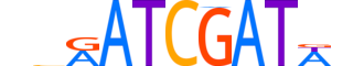 HNF6.H13CORE.1.S.B reverse-complement motif logo (ONECUT1 gene, HNF6_HUMAN protein)