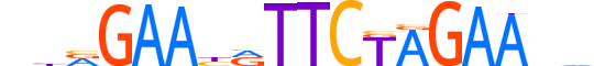 HSF1.H13CORE.0.PSM.A motif logo (HSF1 gene, HSF1_HUMAN protein)