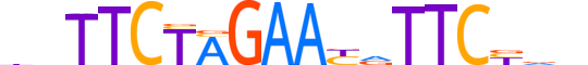 HSF1.H13CORE.0.PSM.A reverse-complement motif logo (HSF1 gene, HSF1_HUMAN protein)