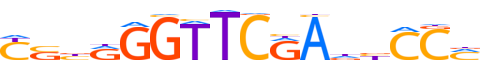 HSF1.H13CORE.2.P.B motif logo (HSF1 gene, HSF1_HUMAN protein)