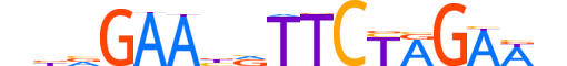 HSF2.H13CORE.0.PSM.A motif logo (HSF2 gene, HSF2_HUMAN protein)