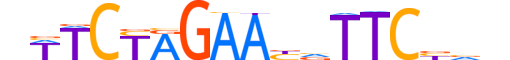 HSF2.H13CORE.0.PSM.A reverse-complement motif logo (HSF2 gene, HSF2_HUMAN protein)