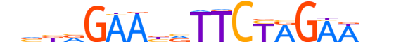 HSF4.H13CORE.0.SM.B motif logo (HSF4 gene, HSF4_HUMAN protein)