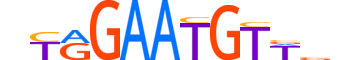 HSF5.H13CORE.0.M.C reverse-complement motif logo (HSF5 gene, HSF5_HUMAN protein)