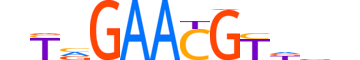 HSF5.H13CORE.1.S.C reverse-complement motif logo (HSF5 gene, HSF5_HUMAN protein)