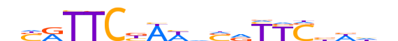 HSFY1.H13CORE.2.M.B motif logo (HSFY1 gene, HSFY1_HUMAN protein)