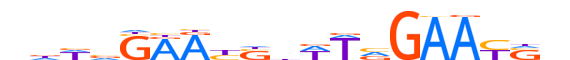 HSFY1.H13CORE.2.M.B reverse-complement motif logo (HSFY1 gene, HSFY1_HUMAN protein)