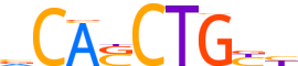 HTF4.H13CORE.0.PSM.A reverse-complement motif logo (TCF12 gene, HTF4_HUMAN protein)