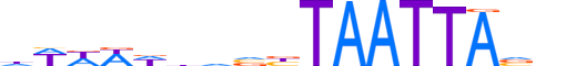 HXA1.H13CORE.1.S.B motif logo (HOXA1 gene, HXA1_HUMAN protein)