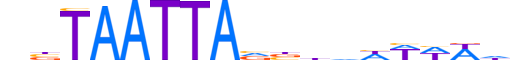 HXA1.H13CORE.1.S.B reverse-complement motif logo (HOXA1 gene, HXA1_HUMAN protein)