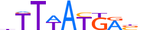 HXA10.H13CORE.0.S.B motif logo (HOXA10 gene, HXA10_HUMAN protein)