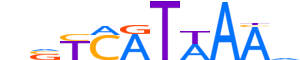 HXA10.H13CORE.0.S.B reverse-complement motif logo (HOXA10 gene, HXA10_HUMAN protein)