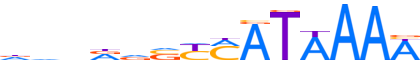 HXA11.H13CORE.0.PS.A reverse-complement motif logo (HOXA11 gene, HXA11_HUMAN protein)