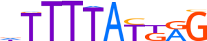 HXA13.H13CORE.0.P.B motif logo (HOXA13 gene, HXA13_HUMAN protein)