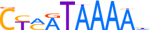 HXA13.H13CORE.0.P.B reverse-complement motif logo (HOXA13 gene, HXA13_HUMAN protein)