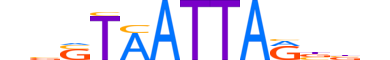 HXA2.H13CORE.0.SM.B reverse-complement motif logo (HOXA2 gene, HXA2_HUMAN protein)