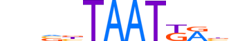 HXA5.H13CORE.0.SM.B motif logo (HOXA5 gene, HXA5_HUMAN protein)