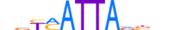 HXA5.H13CORE.0.SM.B reverse-complement motif logo (HOXA5 gene, HXA5_HUMAN protein)