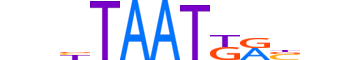 HXA6.H13CORE.0.SM.B motif logo (HOXA6 gene, HXA6_HUMAN protein)