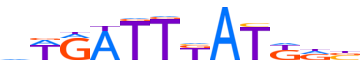 HXA9.H13CORE.0.P.B motif logo (HOXA9 gene, HXA9_HUMAN protein)