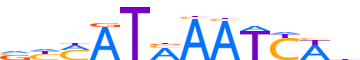 HXA9.H13CORE.0.P.B reverse-complement motif logo (HOXA9 gene, HXA9_HUMAN protein)