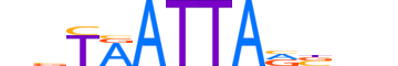 HXB1.H13CORE.0.SM.B reverse-complement motif logo (HOXB1 gene, HXB1_HUMAN protein)