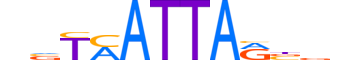 HXB2.H13CORE.0.SM.B reverse-complement motif logo (HOXB2 gene, HXB2_HUMAN protein)