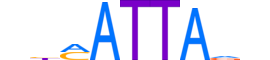 HXB3.H13CORE.0.S.B reverse-complement motif logo (HOXB3 gene, HXB3_HUMAN protein)