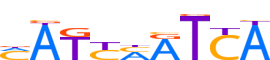 HXB4.H13CORE.0.P.B reverse-complement motif logo (HOXB4 gene, HXB4_HUMAN protein)