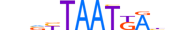 HXB4.H13CORE.1.PSM.A motif logo (HOXB4 gene, HXB4_HUMAN protein)