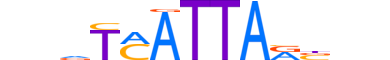 HXB4.H13CORE.1.PSM.A reverse-complement motif logo (HOXB4 gene, HXB4_HUMAN protein)