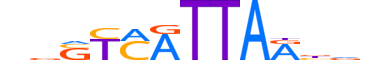 HXB6.H13CORE.0.SM.B reverse-complement motif logo (HOXB6 gene, HXB6_HUMAN protein)