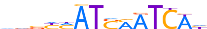 HXB7.H13CORE.0.P.C reverse-complement motif logo (HOXB7 gene, HXB7_HUMAN protein)