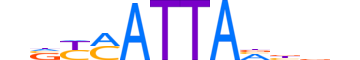 HXB8.H13CORE.0.PSM.A reverse-complement motif logo (HOXB8 gene, HXB8_HUMAN protein)