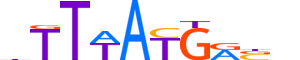 HXB9.H13CORE.0.S.C motif logo (HOXB9 gene, HXB9_HUMAN protein)