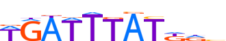 HXC10.H13CORE.0.P.B motif logo (HOXC10 gene, HXC10_HUMAN protein)