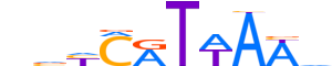 HXC11.H13CORE.1.S.B reverse-complement motif logo (HOXC11 gene, HXC11_HUMAN protein)