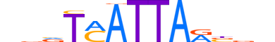 HXC4.H13CORE.0.SM.B reverse-complement motif logo (HOXC4 gene, HXC4_HUMAN protein)